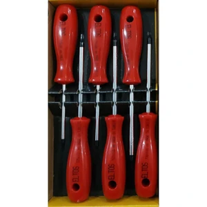 Torx Tornavida Seti 6 Parça
