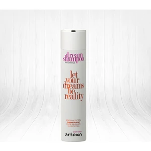 Easy Care Dream Shampoo Anti-Damage Yıpranma Karşıtı Onarım Şampuanı 250 ml