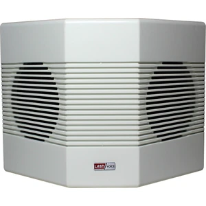 Dh-213T Çift Yönlü Duvar Hoparlörü 100 Watt