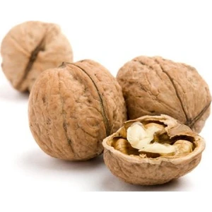 Kabuklu 1. Sınıf İnce Kabuklu Ceviz 500 gr