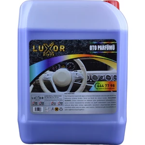 Luxor Kimya Böğürtlen Sakızı 5 lt Oto Kokusu