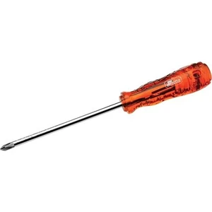 Asetat Saplı Yıldız Tornavida  1X100 - Ray5100