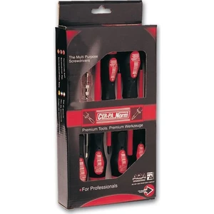 Cer-pa Prosoft İzoleli Tornavida Takımı 5 Pcs.