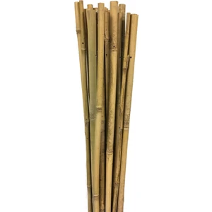 63712 Bambu Destek Çubuğu 10'lu 8-10 mm X 90 cm
