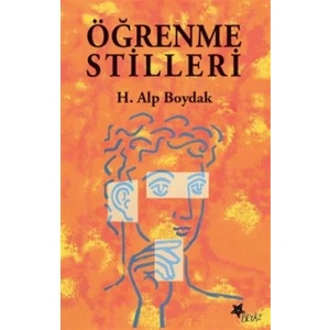 Öğrenme Stilleri - Alp Boydak