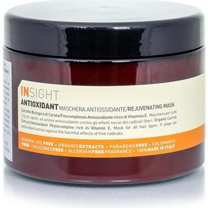 Antioxidant Dış Etkenlere Karşı Yenileyici Maske 500 ml