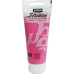831/55 Acrylıc Studıo Boya 100 Ml.