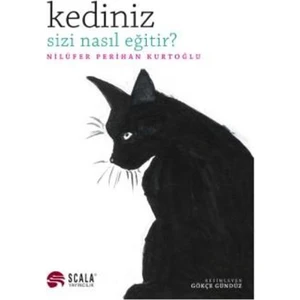 Kediniz Sizi Nasıl Eğitir