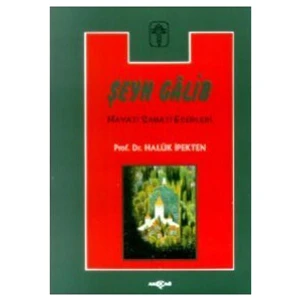 Akçağ Yayınları Şeyh Galib Hayatı, Sanatı, Eserleri, Edebi Kişiliği Ve Bazı Şiirlerinin Açıklamaları-Haluk İpekten