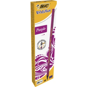 Evolution Purple Kurşun Kalem 12'Li Kutu