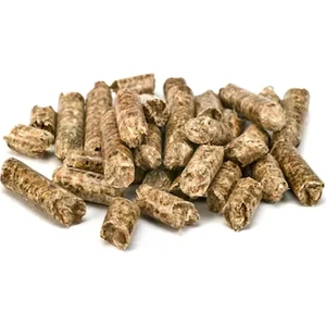 Çam Peleti Kedi Kumu 1 kg