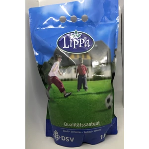 Dsv Lippa 6 Mix Çim Tohumu 1Kg