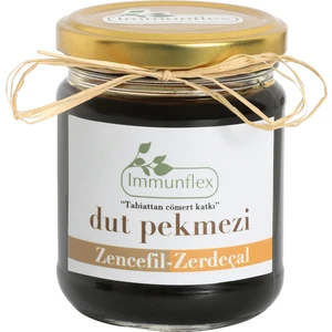 Zencefilli Zerdeçallı Dut Pekmezi 220 gr