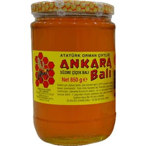 Atatürk Orman Çiftliği Süzme Ankara Çiçek Balı 850 Gr