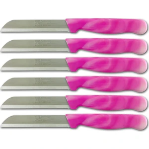 Meyve Sebze Bıçağı 6 Adet Pembe