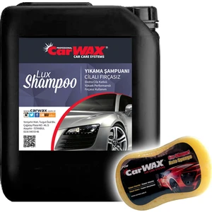 Cilalı Fırçasız Yıkama Şampuanı Gold Shine Shampoo 5 kg Uygulama Süngeri