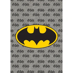 Batman Campus Defter 26*18,5 40 Yaprak Kareli