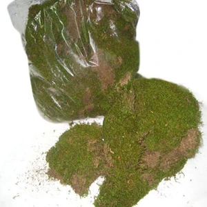 Euro Flora Kuru Bitki Yosun Pk 1 Kg.