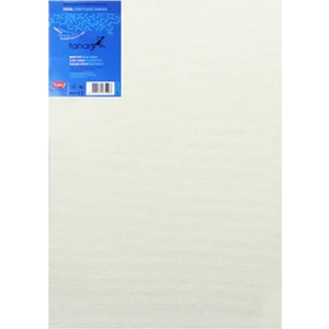 Academy Pres Tuval 40X50Cm