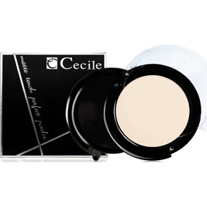 Islak ve Kuru Kullanımlı Mat Pudra / Matte Touch Perfect Powder  506