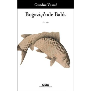 Boğaziçi'nde Balık - Gündüz Vassaf
