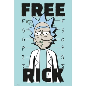 Rick And Morty Free Rick Maxi Poster