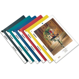 QW324A Şeffaf Sıkıştırmalı Dosya (BYBIC102)