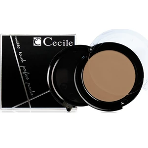 Islak ve Kuru Kullanımlı Mat Pudra / Matte Touch Perfect Powder  505
