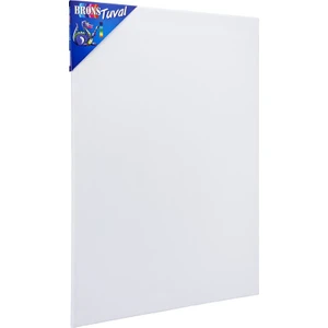 Tuval 50X70cm Br-338