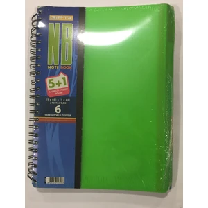 A4 240 Yaprak 5 Kareli + 1 Çizgili Plastik Kapaklı Sipiralli Defter