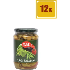 Türlü Cam 660 gr 12'li Set