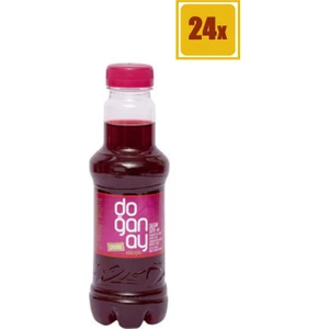Şalgam Suyu Acılı 300 ml 24'lü Set