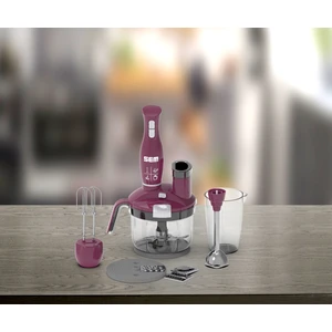 Problade Sk 234 Blender Set