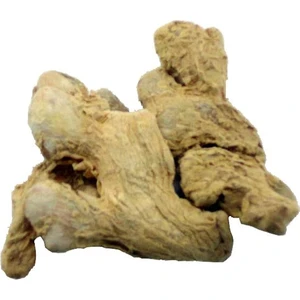 Şifa Kök Zencefil 100 gr