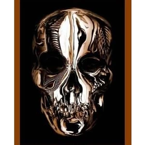 Alexander Mcqueen: Savage Beauty (Metropolitan Museum)