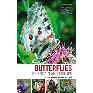 Butterflies Of Europe