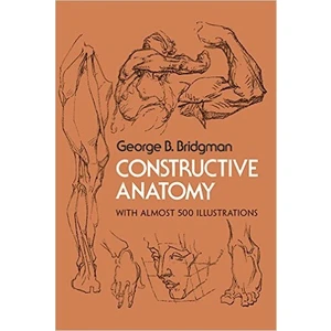 Constructive Anatomy