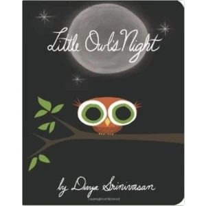 Little Owl'S Night