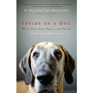 Inside Of A Dog: What Dogs See Smell And Know