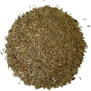 Lokman Aktar Çim Tohumu 250 gr