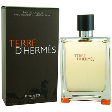 Hermes Terre D'Hermes Edt 100 Ml Erkek 