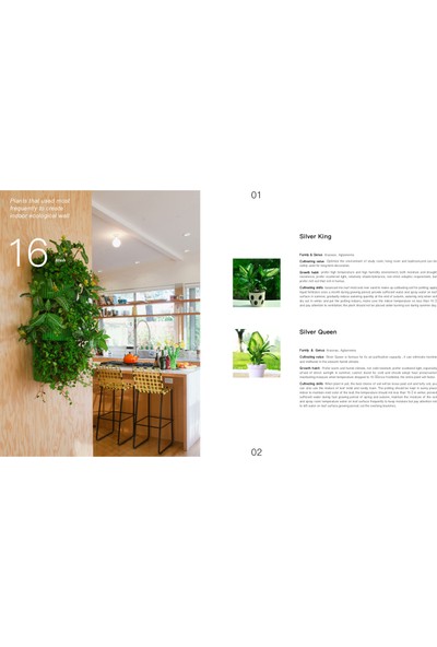 Vertical Garden Design — A Comprehensive Guide: Systems, (Dikey Bahçe Tasarımları)