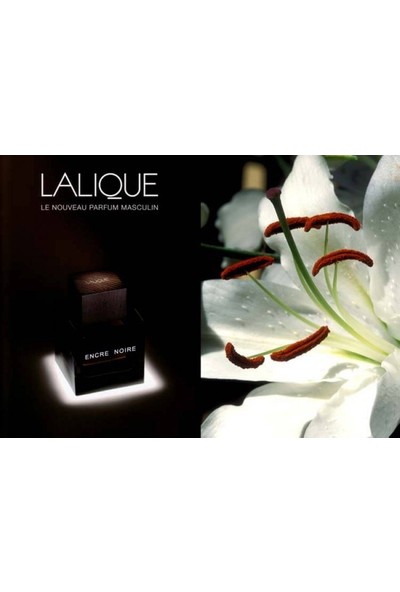 Lalique Encre Noire Homme Edt 100 Ml Erkek Parfüm
