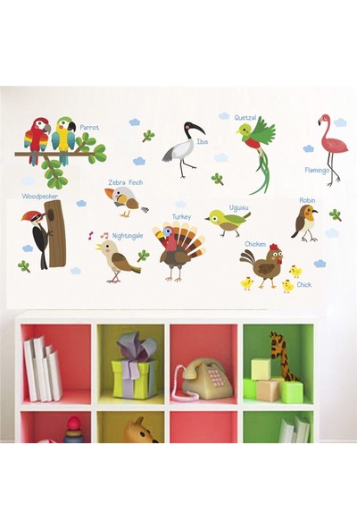 Color Casa Birds Names Kuş Adları İngilizce Montessori Sticker