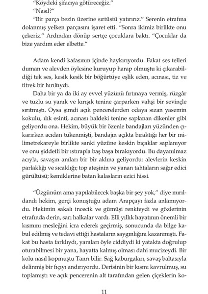 Altın Aslan - Wilbur Smith