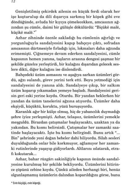 Koz - Abidin Parıltı