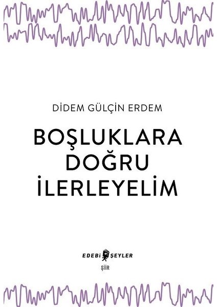 Boşluklara Doğru İlerleyelim - Didem Gülçin Erdem