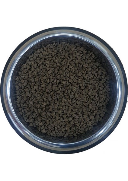 Premium Tavuklu Yavru Kedi Maması 15 kg fiyatları