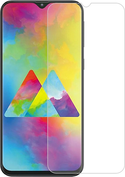 Samsung Galaxy M20 Tempered Glass Cam Koruma