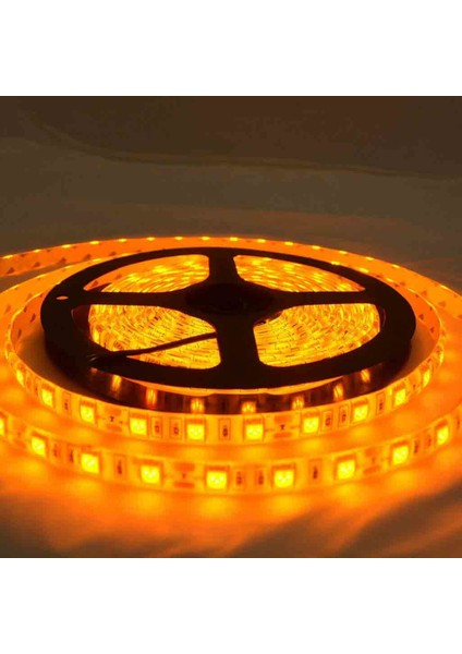 Ct4485 İç Mekan 3 Çipli Şerit Led Amber 5 m